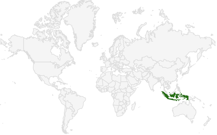 Top 10 nước đông dân nhất thế giới năm 2021