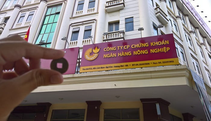 Chứng khoán tuần 15-19/11/2021