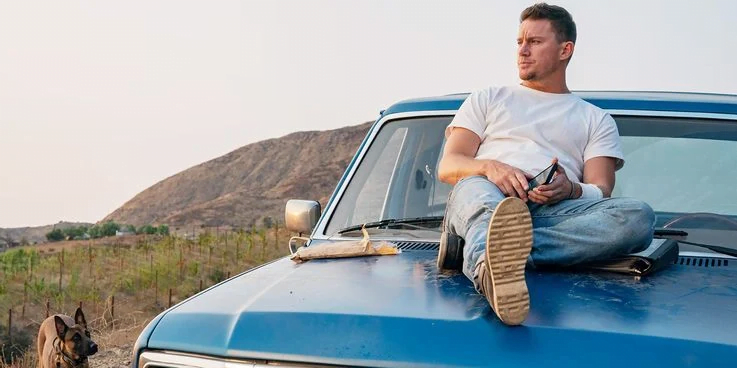  Bộ phim phát hành Dog