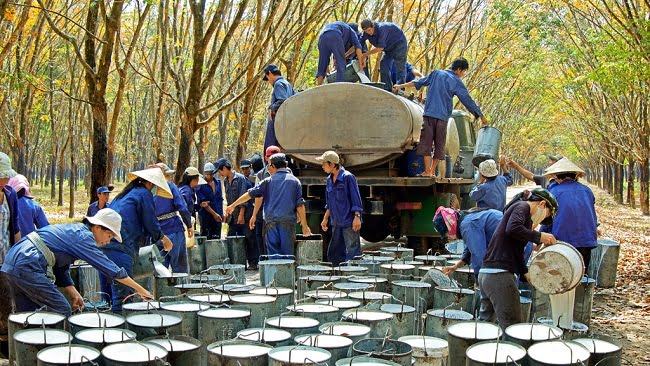 Chứng khoán ngày 1/3/2022